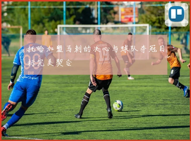 托哈加盟马刺的决心与球队夺冠目标完美契合